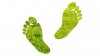 Footprint.jpg