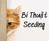 seeding.jpg